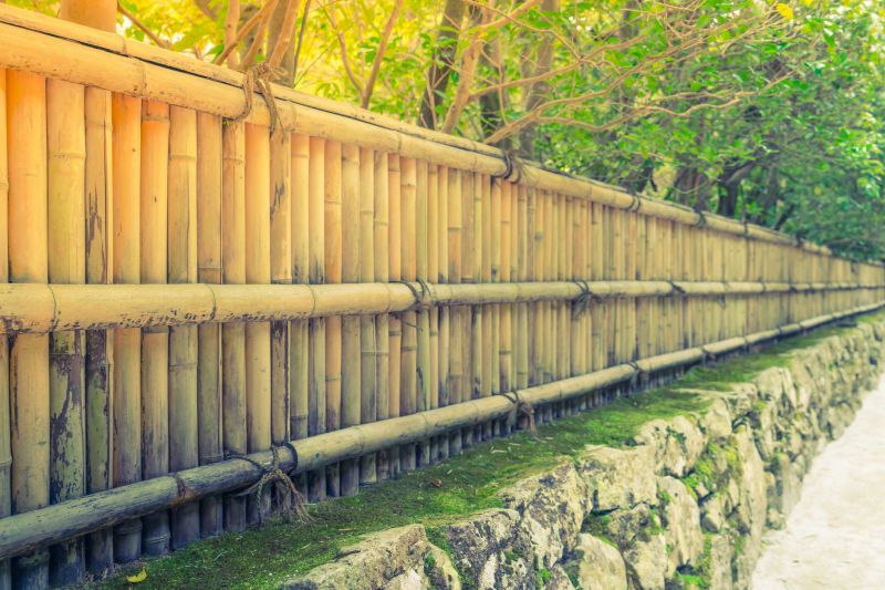 Bamboo Fences